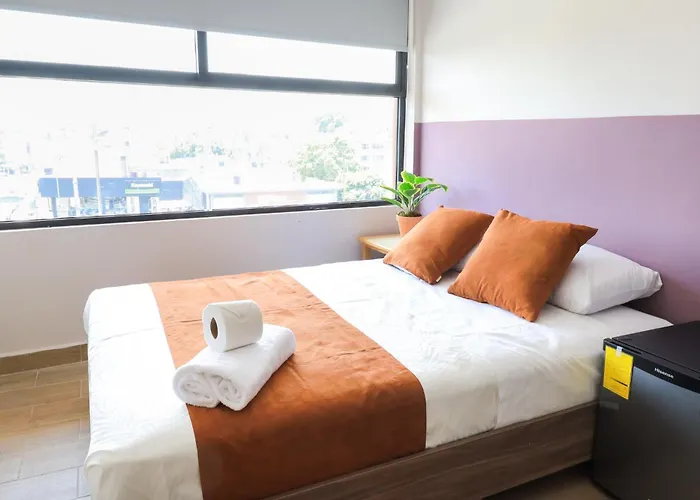 Colmena Monterrey Hotel 3*