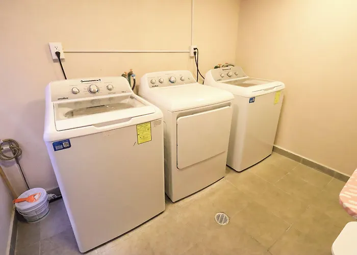 Colmena Cdmx Roma 3*